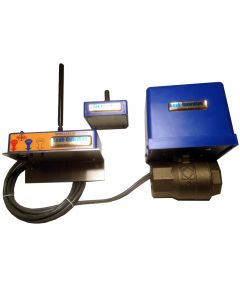 Petro-meter 2500-100i Leak-Guardian® Complete System 1" IPS with Wireless Sensor